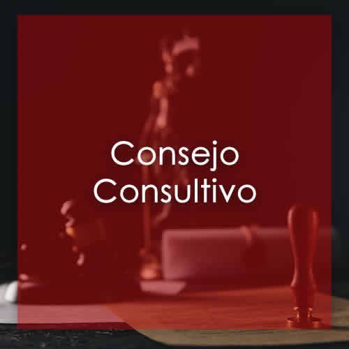 ECONOMISTAS DE LIMA | CONSEJO CONSULTIVO