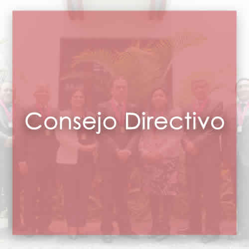 ECONOMIISTAS DE LIMA | CONSEJO DIRECTIVO