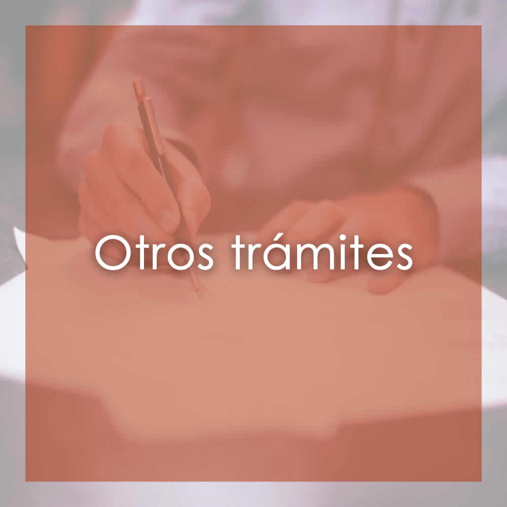ECONOMISTAS DE LIMA | OTROS TRAMITES