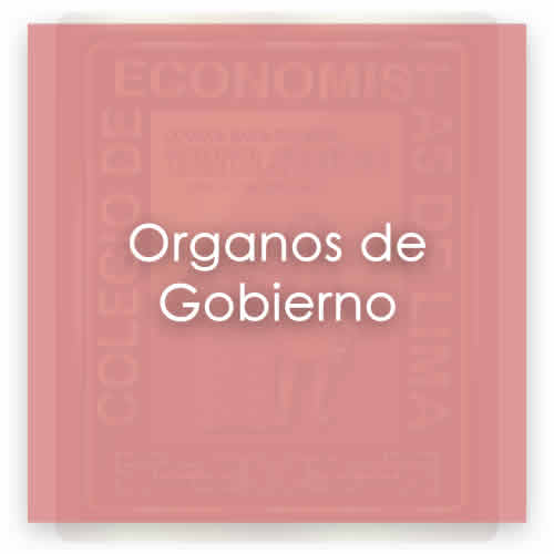 ECONOMISTAS DE LIMA | ORGANOS DE GOBIERNO