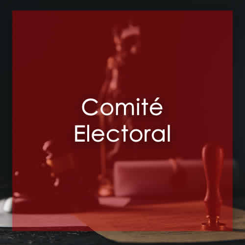 ECONOMISTAS DE LIMA | COMITE ELECTORAL
